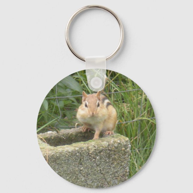 Cute Chipmunk Keychain (Front)