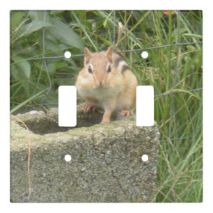 Cute Chipmunk Light Switch Cover
