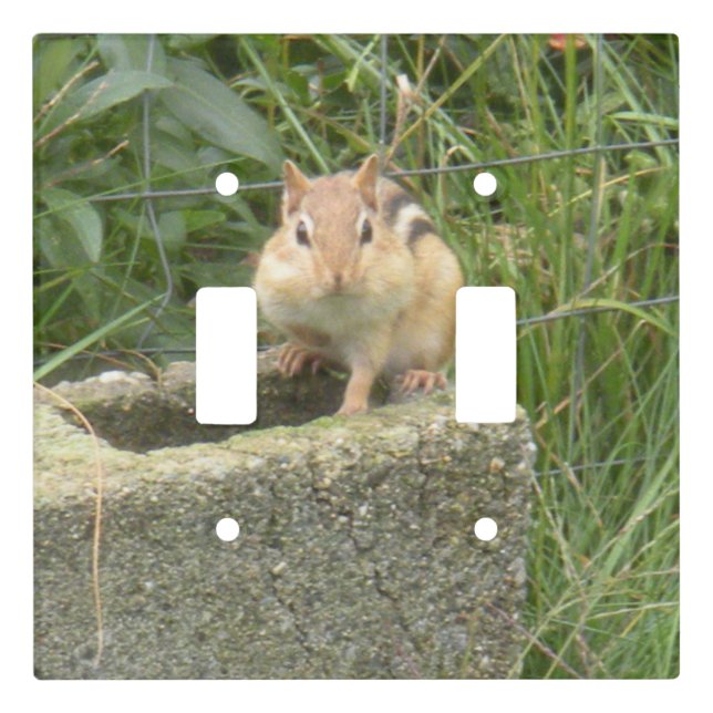 Cute Chipmunk Light Switch Cover (Front)