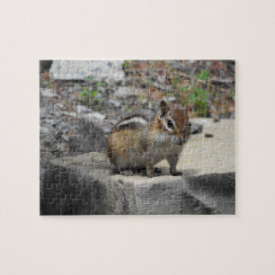 Cute Chipmunk Like Critter on a Rock Jigsaw Puzzle