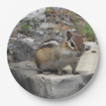 [ Thumbnail: Cute Chipmunk Like Critter On a Rock Paper Plate ]