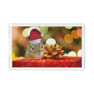 Cute Chipmunk Merry Christmas Acrylic Tray