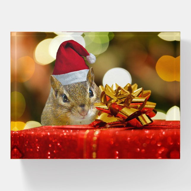 Cute Chipmunk Merry Christmas Paperweight (Front)