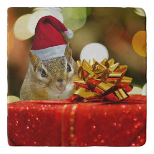 Cute Chipmunk Merry Christmas Trivet