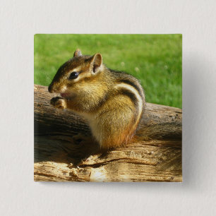Cute Chipmunk Pinback Button