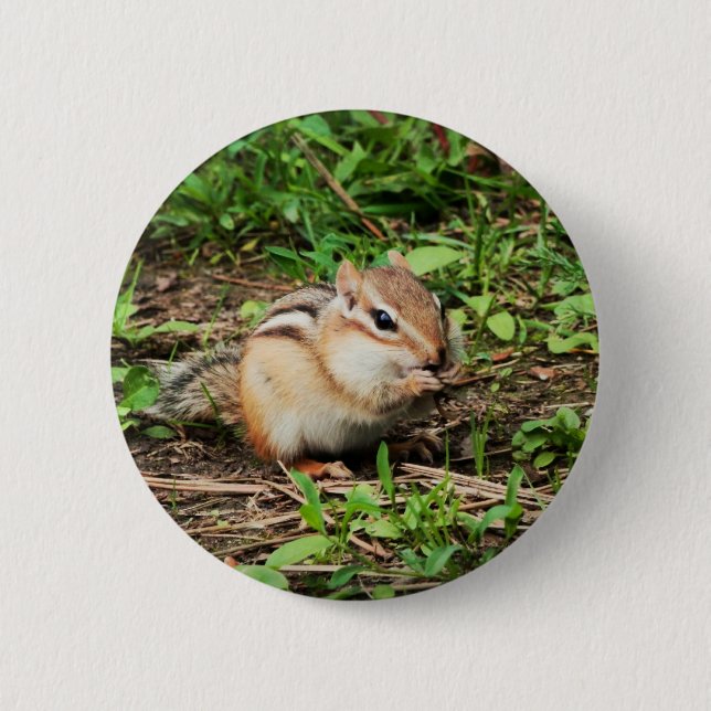Cute Chipmunk Pinback Button (Front)