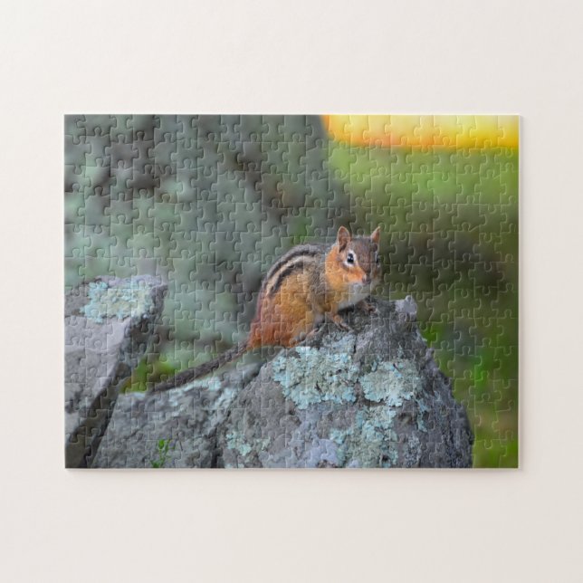 Cute Chipmunk, Shenandoah National Park Jigsaw Puzzle (Horizontal)