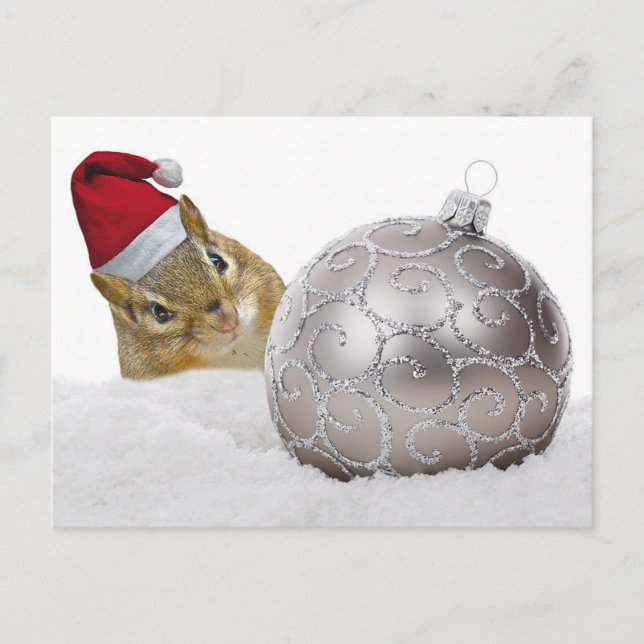 Cute Chipmunk Silver and Snow Christmas Holiday Postcard (Front)