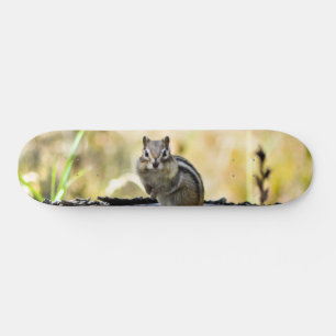 Cute Chipmunk Skateboard Deck