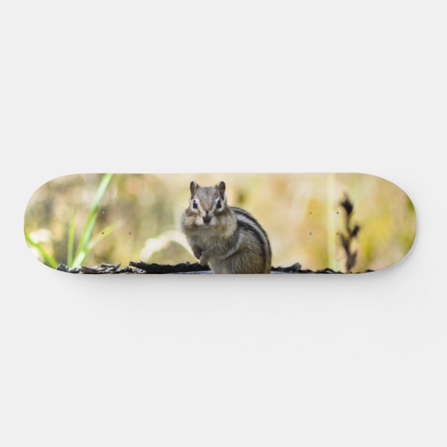 Cute Chipmunk Skateboard Deck (Horz)
