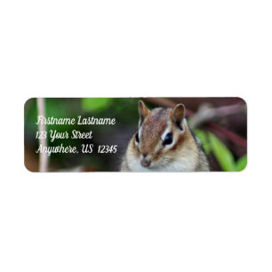 Cute Chipmunk Wildlife Animal Address Label