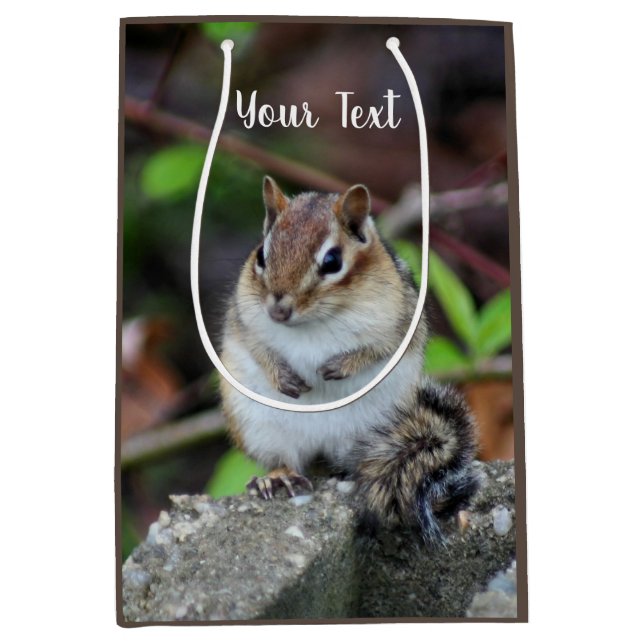 Cute Chipmunk Wildlife Animal   Medium Gift Bag (Front)