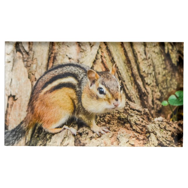 Cute Chipmunk Wildlife Animals Nature  Place Card Holder (Front)