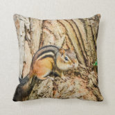 https://rlv.zcache.com/cute_chipmunk_wildlife_animals_nature_throw_pillow-reb43a95921564789853a7c4fa5fad513_6sd91_8byvr_166.jpg