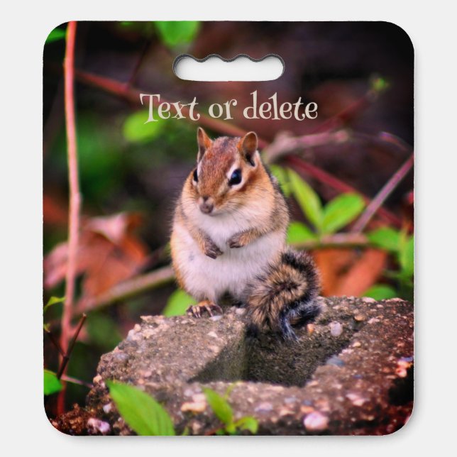 Cute Chipmunk Wildlife Personalized Seat Cushion (Front Vertical)