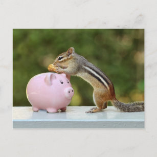 Cute Chipmunk with Funny Money Piggy Bank Picture Postcard