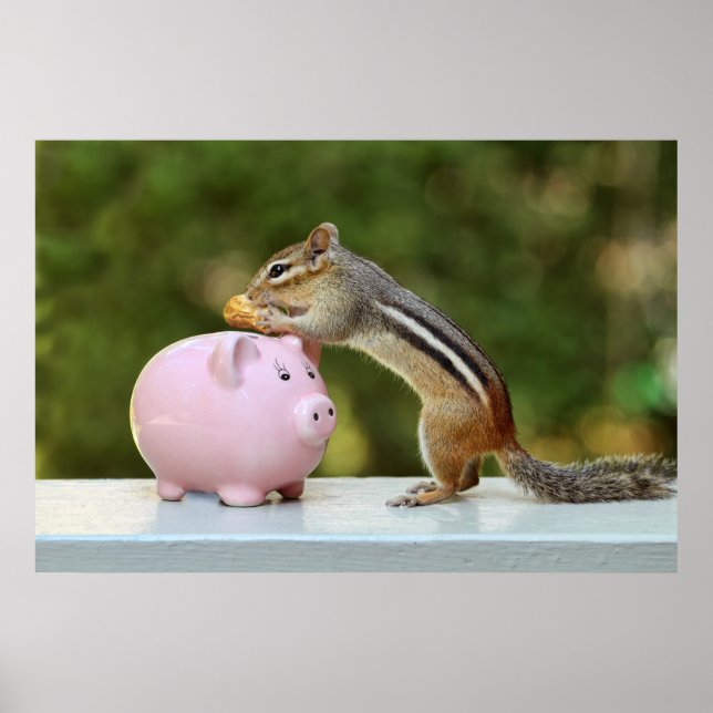 Cute Chipmunk with Funny Money Piggy Bank Picture Poster (Front)