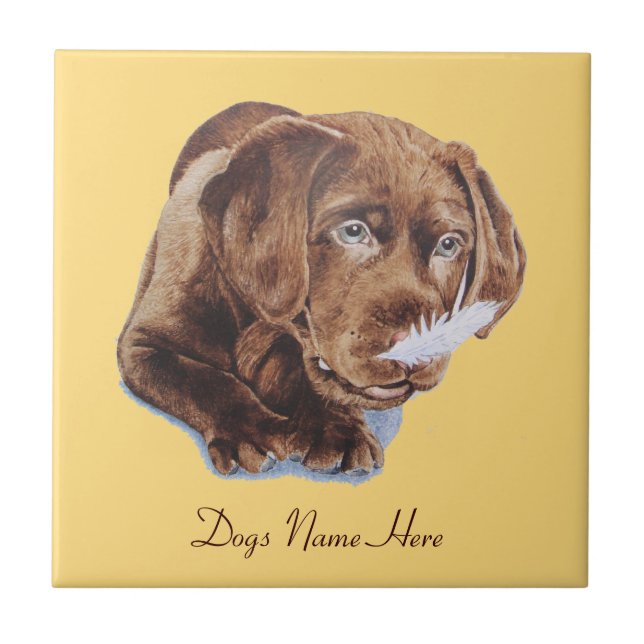 cute chocolate brown labrador retriever puppy dog tile (Front)