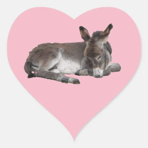 Cute chocolate donkey baby foal sleeping on pink heart sticker