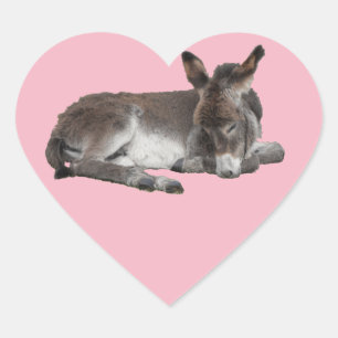 Cute chocolate donkey baby foal sleeping on pink heart sticker
