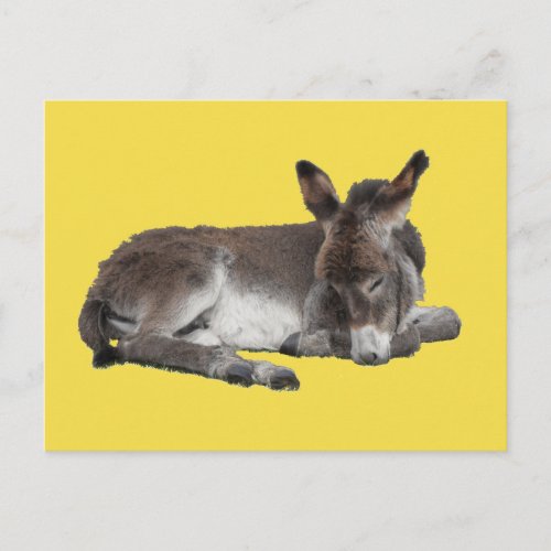 Cute chocolate donkey baby foal sleeping on yellow postcard