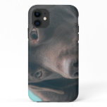 Cute Chocolate Lab iPhone 11 Case
