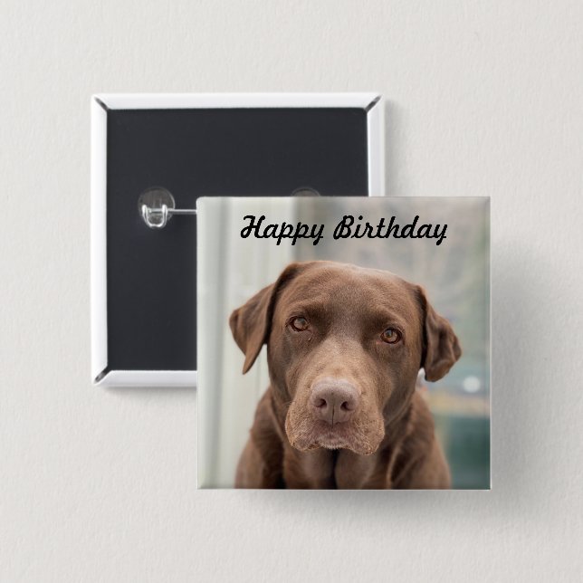 cute chocolate lab Happy Birthday Button (Front & Back)