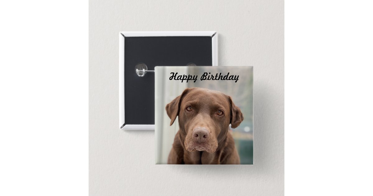 cute chocolate lab Happy Birthday Button Zazzle