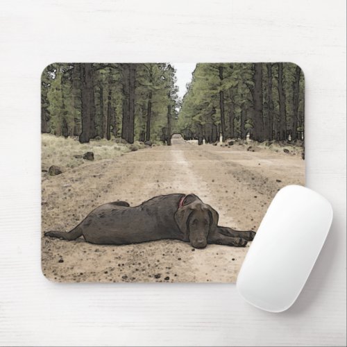 Cute Chocolate Lab Puppy On A Forest Trail Mouse Pad