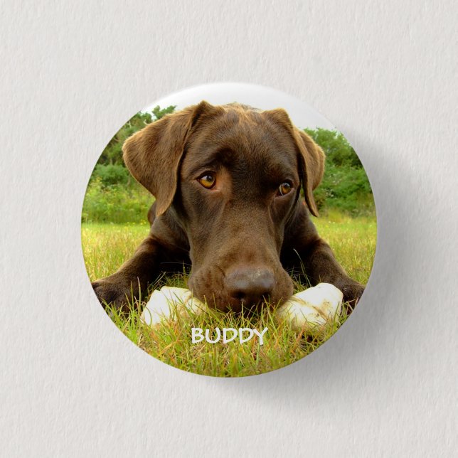 Cute Chocolate Labrador Custom Button (Front)