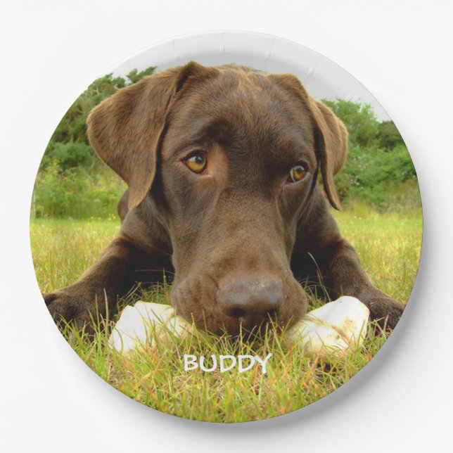 Cute Chocolate Labrador Custom Paper Plates (Front)