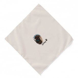 Cute Chocolate Labrador Dog – Bailey Pet Gift Bandana