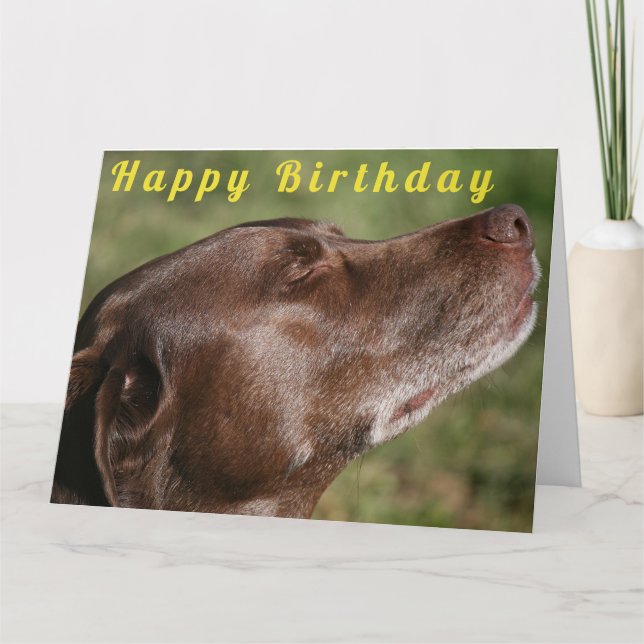Cute Chocolate Labrador Dog - Happy Birthday Card (Front)