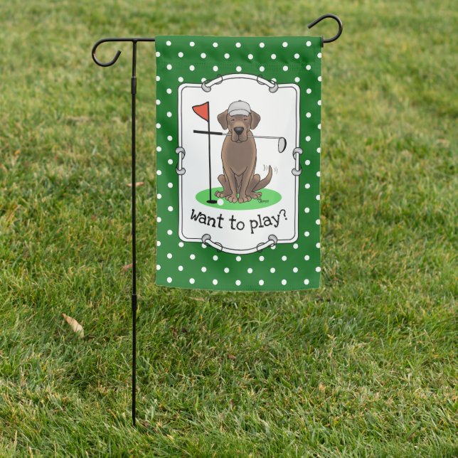 Cute Chocolate Labrador Retriever Dog Playing Golf Garden Flag (In SItu)