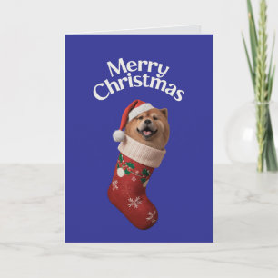 Cute Chow Chow Dog Christmas  Card