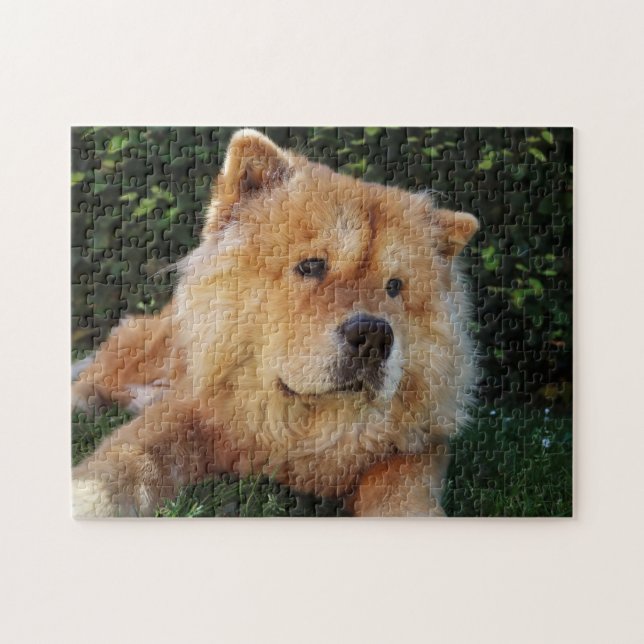 Cute Chow Chow dog Jigsaw Puzzle (Horizontal)