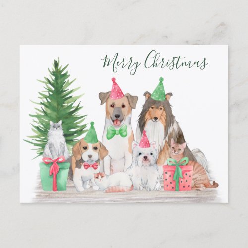 Cute Christmas Animals Dog Cat Puppy Kitten Holiday Postcard