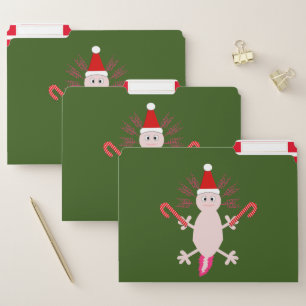 Cute Christmas Axolotl File Folder