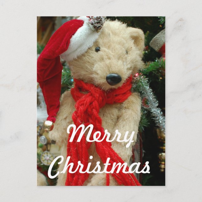 Cute Christmas Bear Photo Postcard (Front)