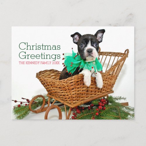 Cute Christmas Boston Terrier puppy Holiday Postcard