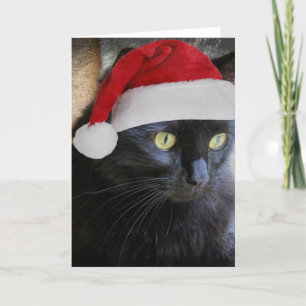 Cute Christmas Card, Pretty Black Cat w Santa Cap Holiday Card