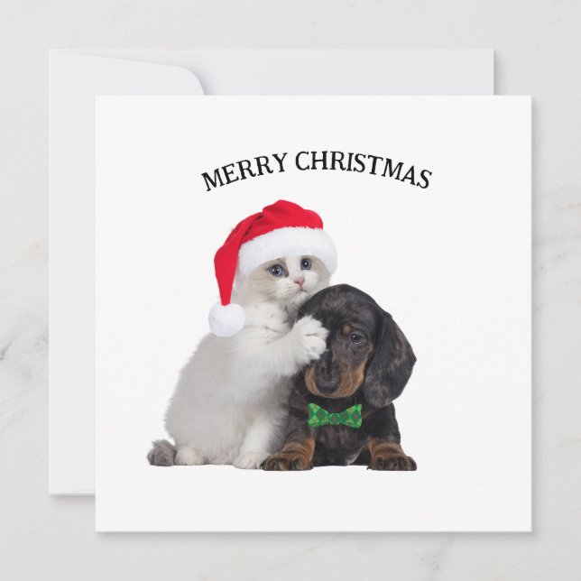 Cute Christmas Cat and Funny Dog Christmas Card (Front)
