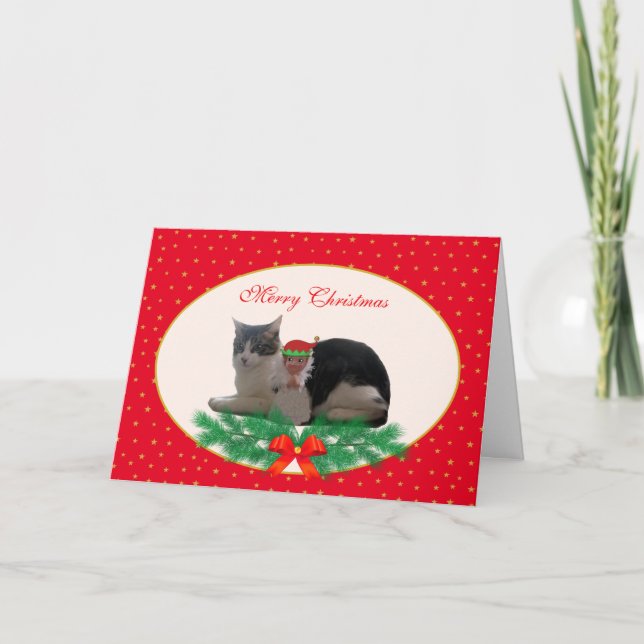 Cute Christmas Cat & angel elf on red Card (Front)