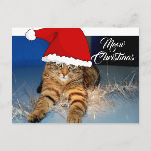 Cute Christmas Cat Postcard with Holiday Greeting