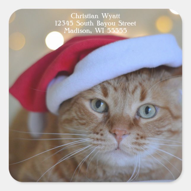 Cute Christmas Cat return address Square Sticker (Front)