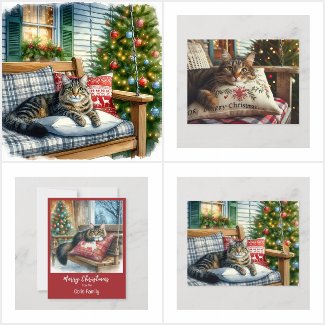 Cute Christmas Cats 