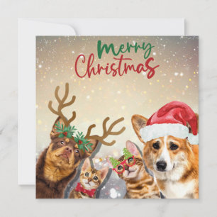 Cute Christmas Cats and Dogs Funny Animals Holiday Card