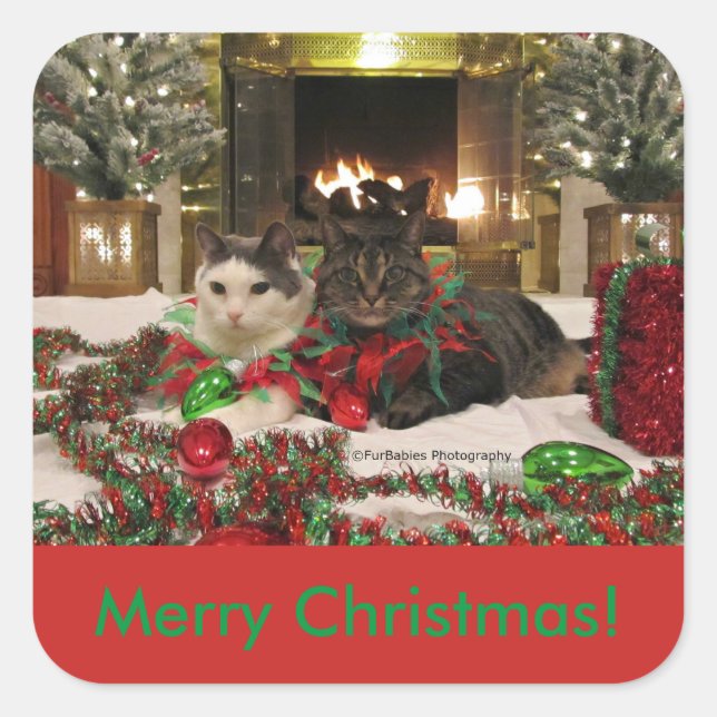Cute Christmas Cats sticker (Front)