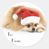 Cute Christmas Dog Gift Stickers