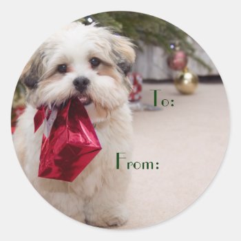 Cute Christmas Dog Gift Tags by DoggieAvenue at Zazzle